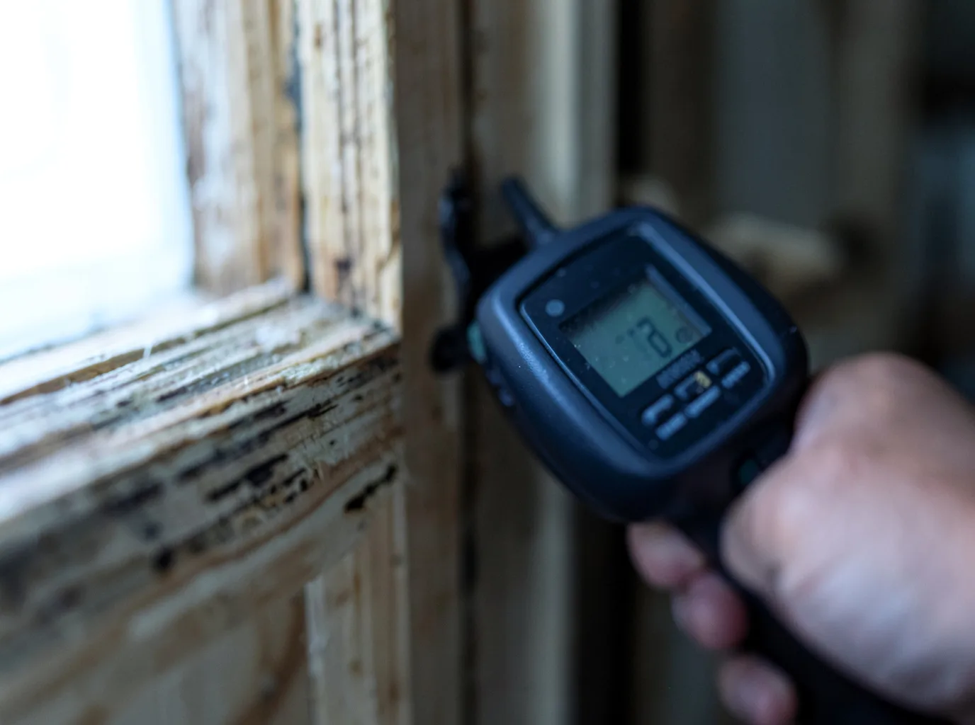 Moisture Inspection And Documentation in South Newfane, VT